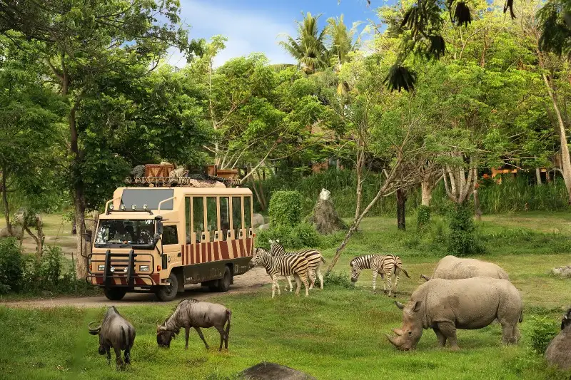Exciting Experience at Bali Zoo
